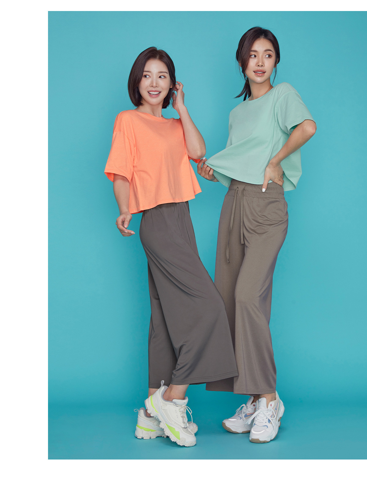 바이오핏 이미지